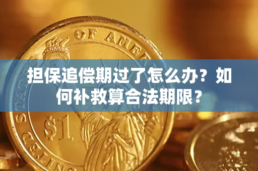 济南担保追偿期过了怎么办？如何补救算合法期限？