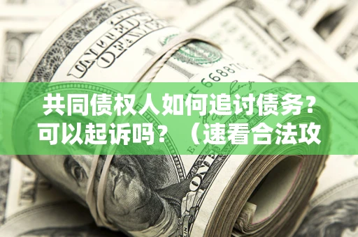 济南共同债权人如何追讨债务？可以起诉吗？（速看合法攻略）