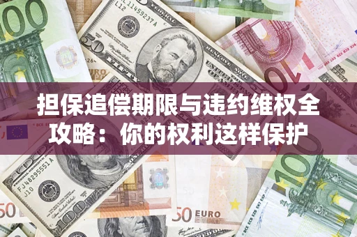 济南担保追偿期限与违约维权全攻略：你的权利这样保护